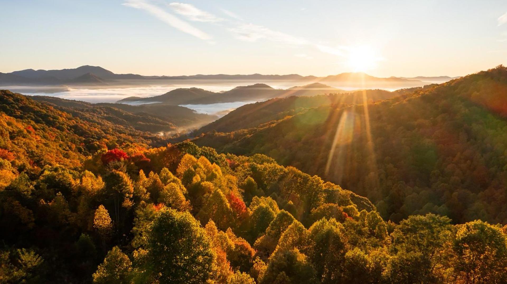 Elk & Embers Mountain Hideaway Hotel Уейнсвил Екстериор снимка