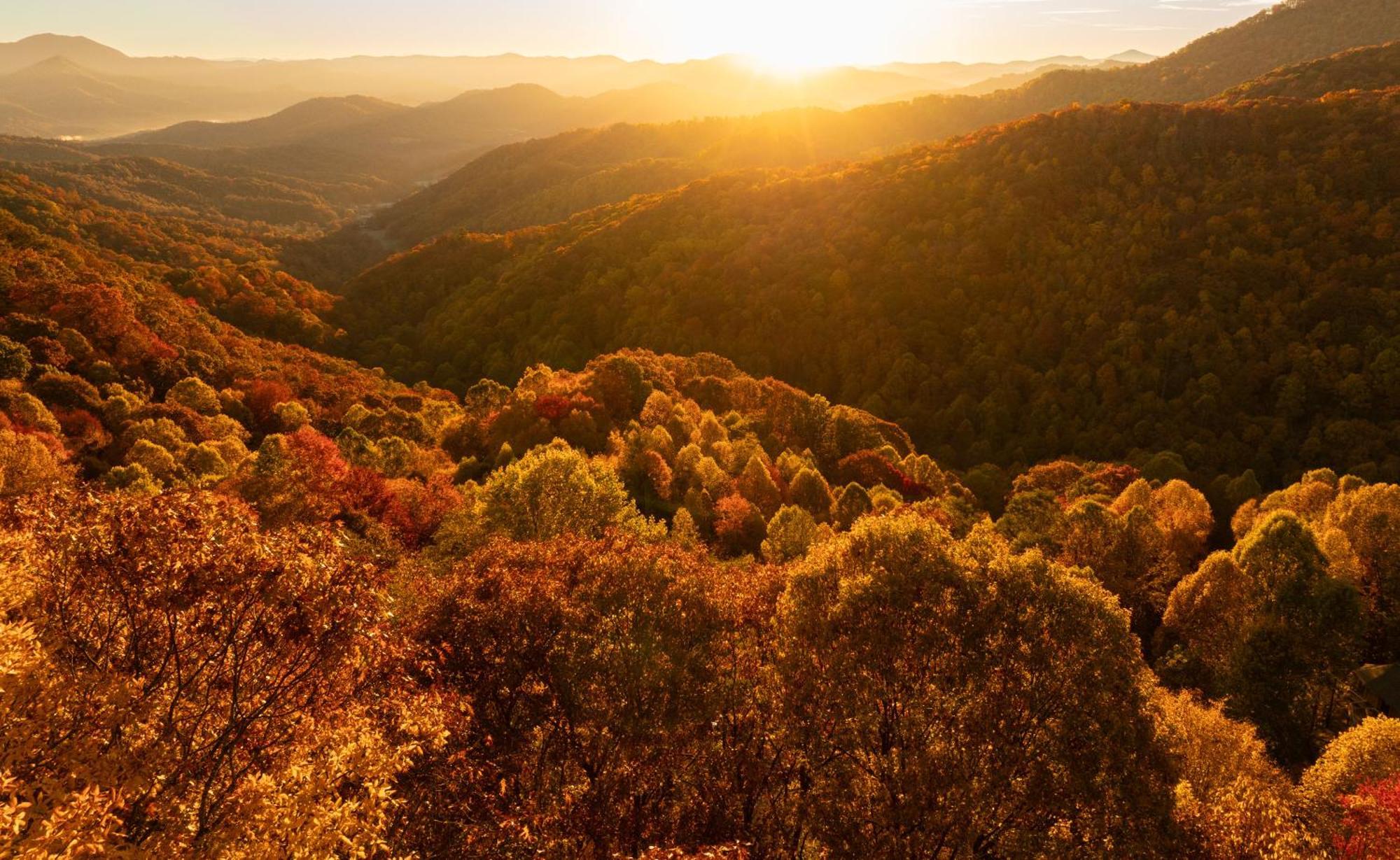 Elk & Embers Mountain Hideaway Hotel Уейнсвил Екстериор снимка