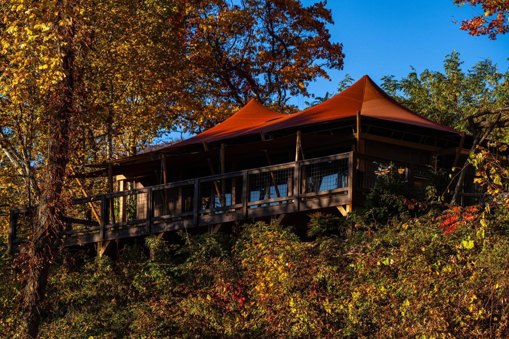 Elk & Embers Mountain Hideaway Hotel Уейнсвил Екстериор снимка