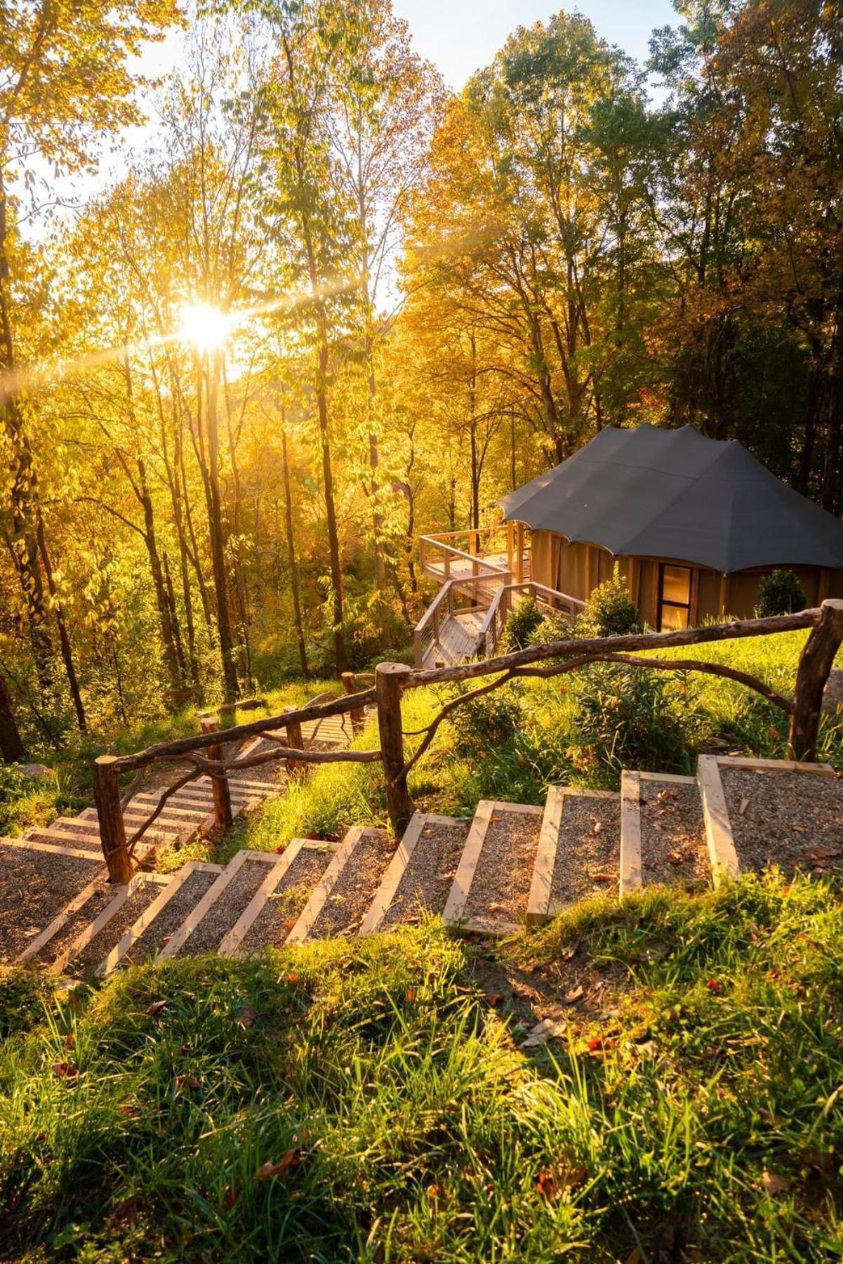 Elk & Embers Mountain Hideaway Hotel Уейнсвил Екстериор снимка